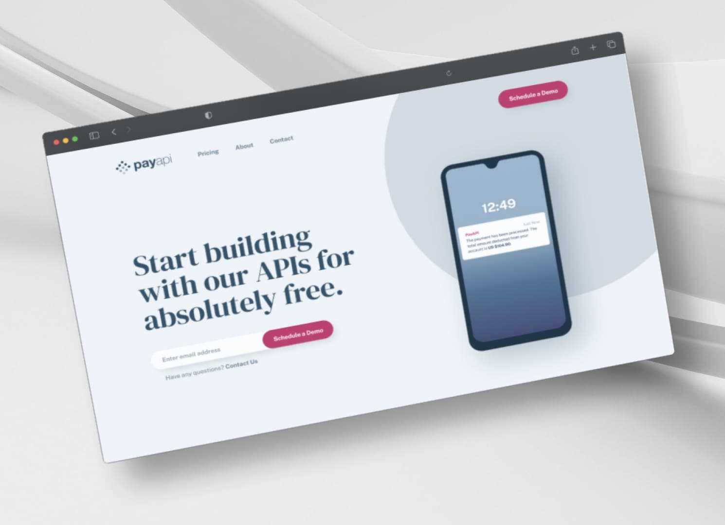 PayAPI multi-page website mockup